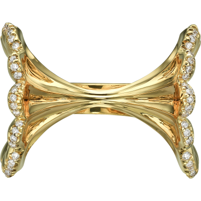 Ring image 2