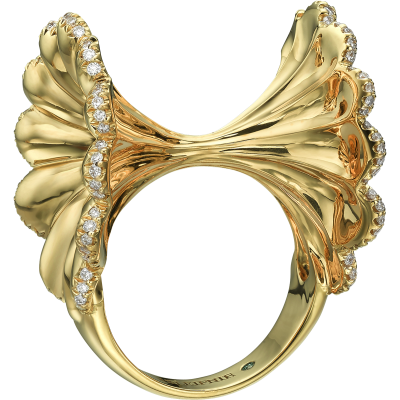Ring image 3