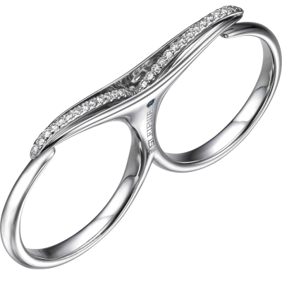 Rings image 1